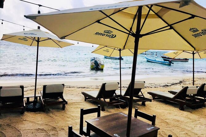 Puerto Morelos Snorkel, Town Walk, Tequila Tasting & Beach Lunch - Reef Park Tax and Other Costs to Expect