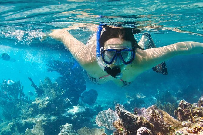 Puerto Morelos Snorkel, Town Walk, Tequila Tasting & Beach Lunch - Group Size, Guide Style, and Where the Tour Might Fray at the Edges
