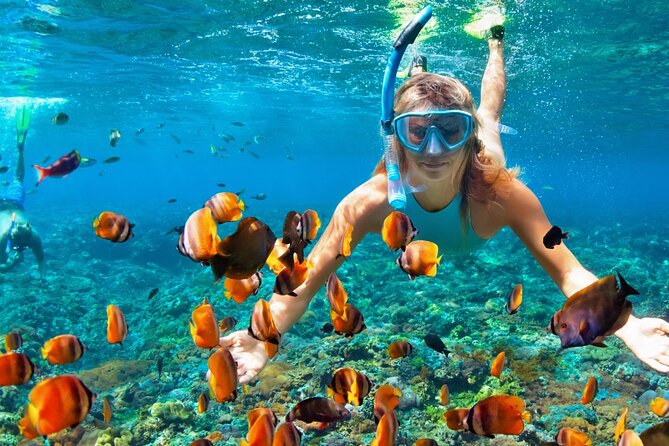 Puerto Morelos Snorkel, Town Walk, Tequila Tasting & Beach Lunch - Price and Value: What $40.84 Really Buys You