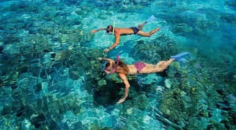 Puerto Morelos: Snorkeling at The National Reef Park - Key takeaways before you go