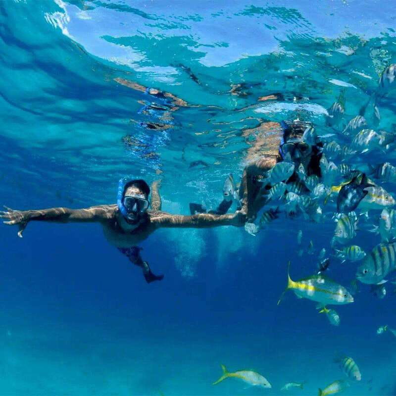 Puerto Morelos: Snorkeling at The National Reef Park - Why Puerto Morelos Reef snorkeling feels worth your time