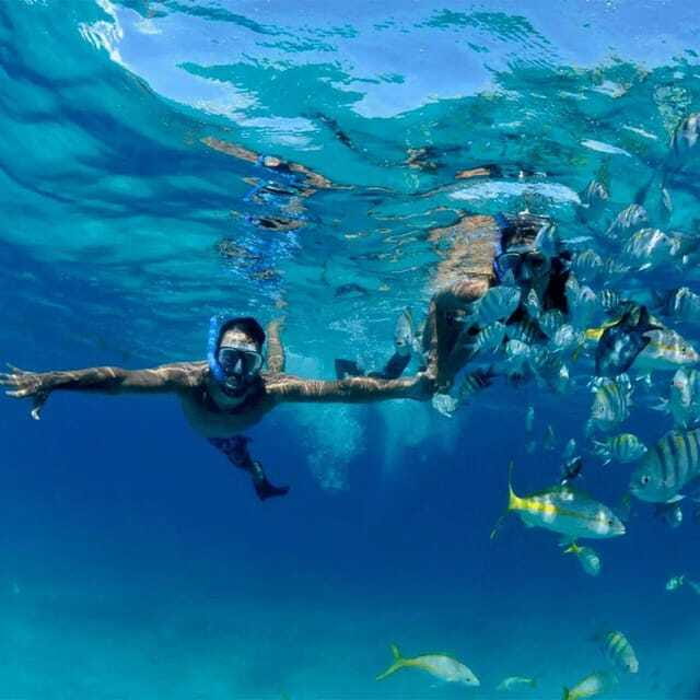 Puerto Morelos: Snorkeling at The National Reef Park - The rules that protect the reef (and how to plan around them)
