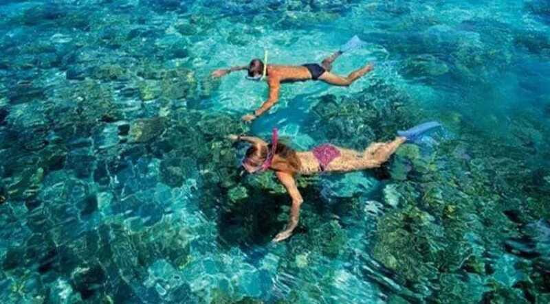 Puerto Morelos: Snorkeling at The National Reef Park - Pace, safety, and group size: 2 hours that don’t drag