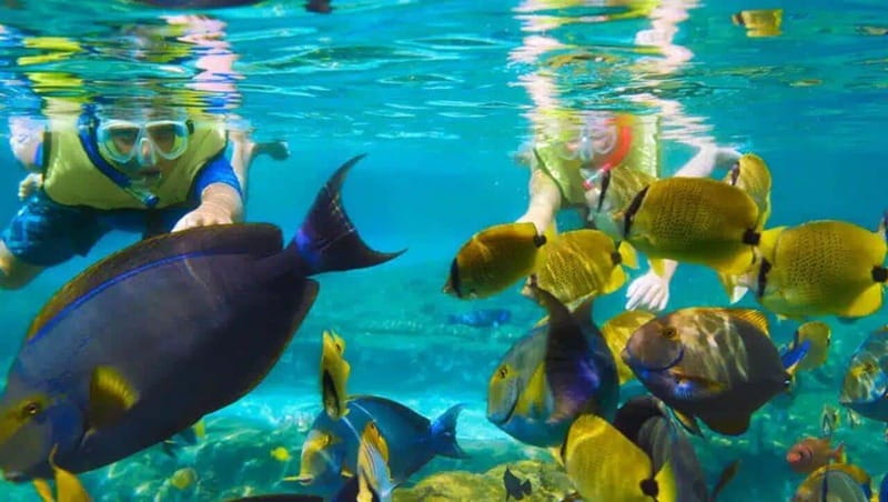 Puerto Morelos: Snorkeling at The National Reef Park - Getting there fast: the short boat ride and what it changes