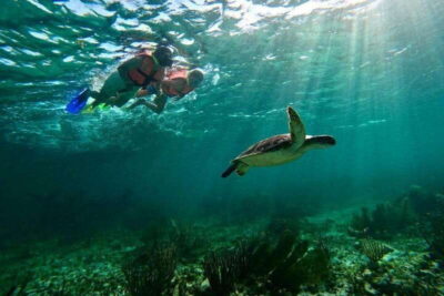 Puerto Morelos: Snorkeling Guided Activity - The vibe: small group, guided, and built for seeing more