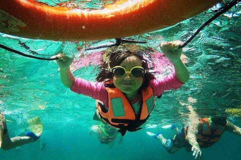 Puerto Morelos: Snorkeling Guided Activity - Marine life chances: turtles, rays, fish, and what to watch for