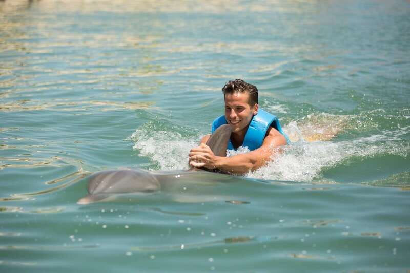 Punta Cancun: Swim with dolphins Interax - Quick highlights