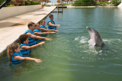 Punta Cancun: Swim with dolphins Interax - The 45-minute program flow (and why the timing works)