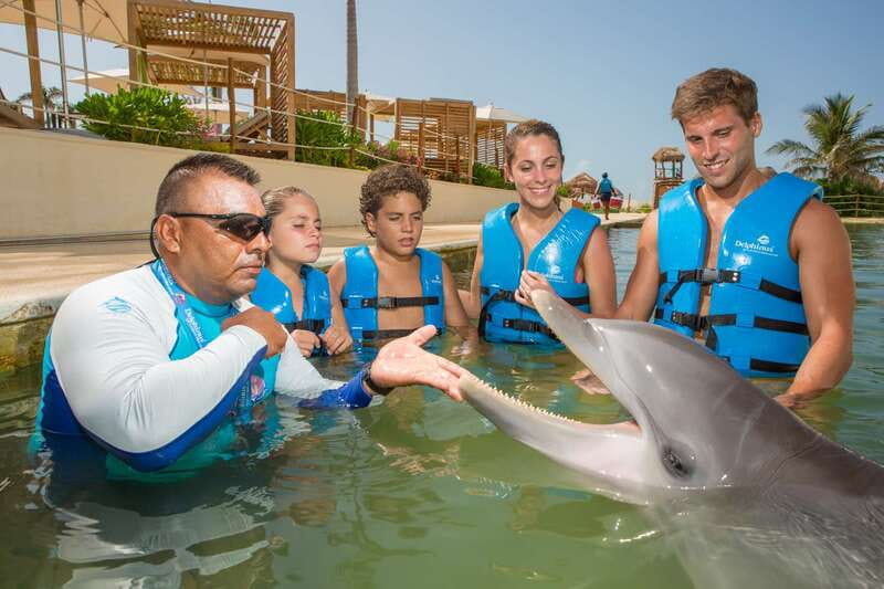 Punta Cancun: Swim with dolphins Interax - The biggest rules: no phones/cameras in the habitat, and no jewelry