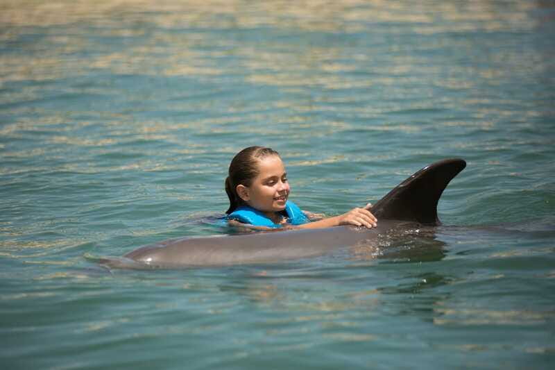 Punta Cancun: Swim with dolphins Interax - Included vs. not included: what $138 really covers
