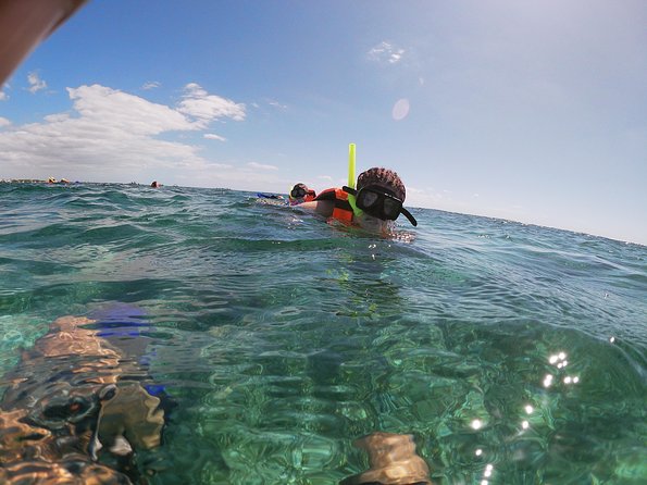 Reef Snorkel In National Park In Puerto Morelos With Lunch And Transportation - Puerto Morelos Reef Wall: Why the snorkeling feels so close to Cancun