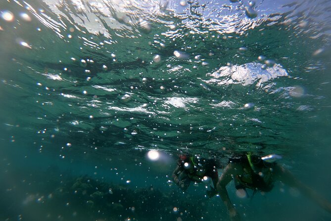 Reef Snorkel In National Park In Puerto Morelos With Lunch And Transportation - First stop: Puerto Morelos National Reef Park and the sea life you’re likely to see