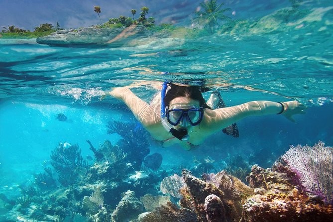 Reef Snorkel In National Park In Puerto Morelos With Lunch And Transportation - Who should book this, and who should choose something else