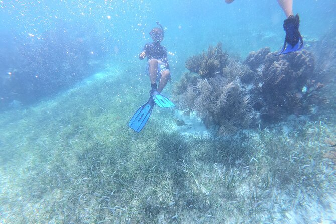 Reef Snorkel, underwater adventure in Puerto Morelos With Transportation & Lunch - Lunch, Snacks, and the Food Timing That Keeps You Happy
