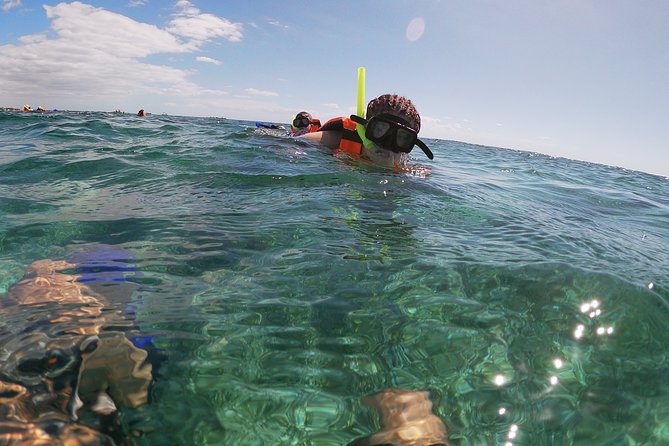 Reef Snorkeling with ATV, Zipline, Cenote that includes lunch and transportation - Snorkeling at the National Reef Park of Puerto Morelos