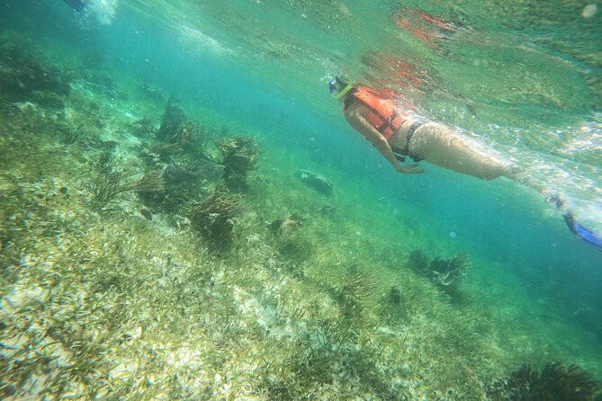 Reef Snorkeling with ATV, Zipline, Cenote that includes lunch and transportation - Guide Juan in Puerto Morelos: What You Get Beyond Gear