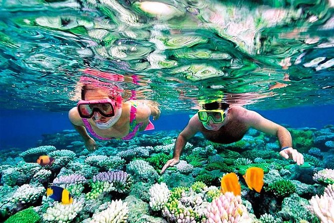 Riviera Maya Snorkeling - Puerto Morelos Reef: The Point of the Trip