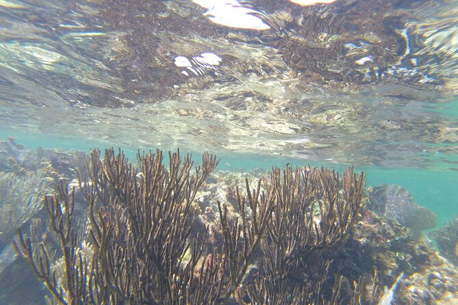 Riviera Maya Snorkeling - The Crew and the Small-Boat Advantage