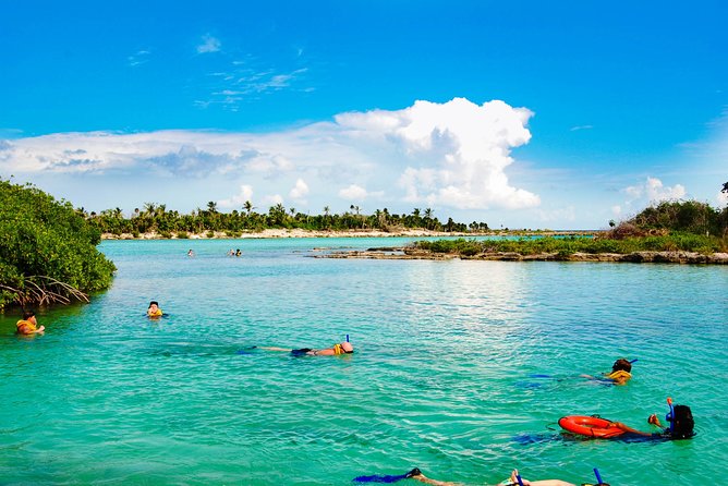 Riviera Maya Snorkeling Adventure: Lagoon, Cenotes Open & Cavern - Why This Riviera Maya Snorkeling Day Works for a Short Stay