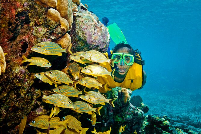 Riviera Maya Snorkeling Adventure: Lagoon, Cenotes Open & Cavern - The Aktún Jungle Cave: A Different Kind of Adventure