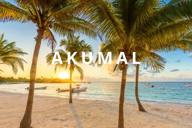 Round private transfer Airport- Akumal - Airport. - Key things to know before you go