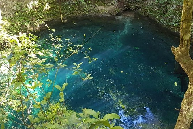 Route of the cenotes (ZAPOTE) - Cenote Zapote: jumping and a fast start in the water