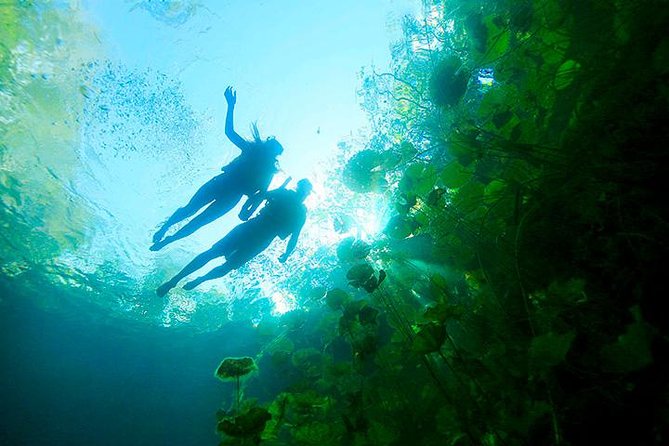 Sacred Adventure at Xenotes! 4 Different Cenotes + Round Transportation - Four Cenotes on the Ruta de los Cenotes: what makes this special