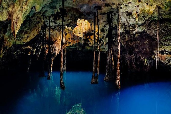 Sacred Adventure at Xenotes! 4 Different Cenotes + Round Transportation - How the day flows from Puerto Morelos toward Leona Vicario