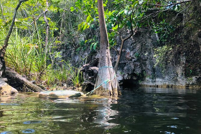 Sacred Adventure at Xenotes! 4 Different Cenotes + Round Transportation - Lunch, snacks, soft drinks, beer, and wine: you’ll feel it’s worth it
