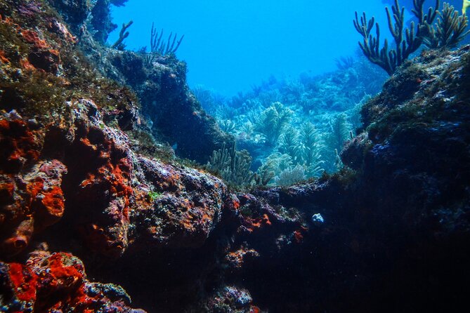 Scuba Diver Certification Course - Day 2 Part 2: National Marine Park Time by Boat