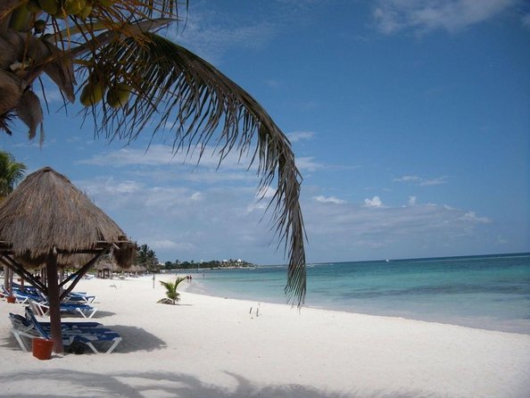 Sea Turtle Snorkeling Ecofriendly Tour from Cancun & Riviera Maya - Key highlights worth your attention