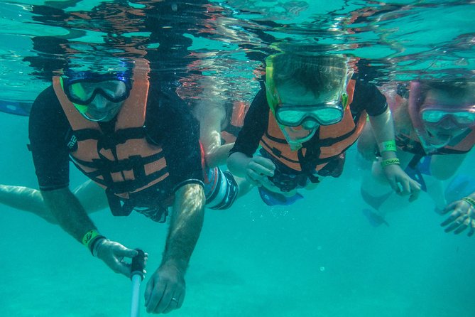 Sea Turtle Snorkeling Ecofriendly Tour from Cancun & Riviera Maya - Price and value: $149, and what you’re getting for the money