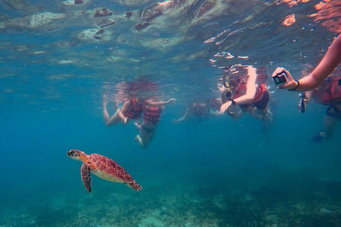 Sea Turtle Snorkeling Ecofriendly Tour from Cancun & Riviera Maya - What’s included on the day: snacks, showers, and small comfort issues
