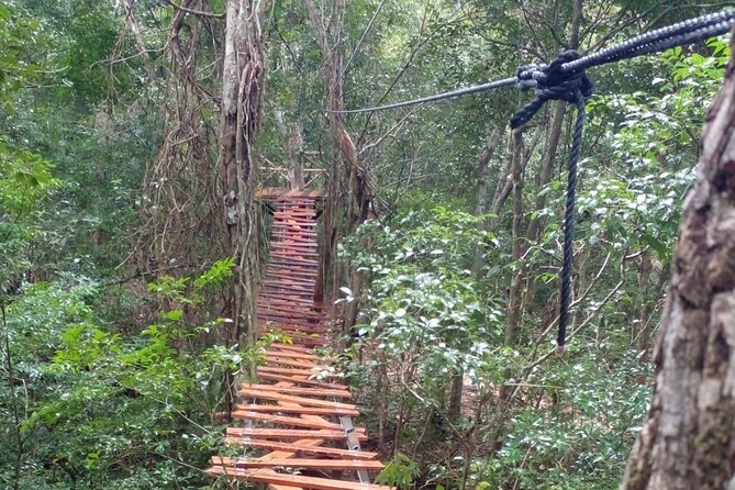 Shared ATV's and Zip Lines and Swimming in a Real Cenote. - Price and value: what $72 really buys you in Cancun