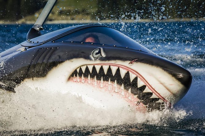 Shark Ride in Cancun - Seabreacher - The Seabreacher setup: life jacket, your pilot, and phone rules