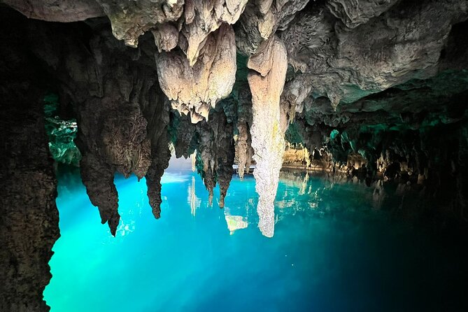 Single ATV, Horseback Riding, Ziplines and Cenote Swim - Horseback riding in the jungle: fun, but think about animal welfare