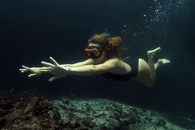 Small Group 3 Waterfall Cenotes Experience - Price and time: is $67.15 worth it in Cancun?