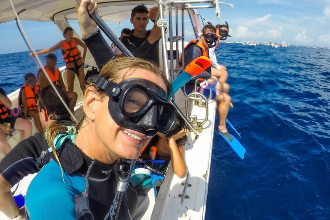 Small Group Whale Shark Encounter - 10 years in business - What Happens After Snorkeling: Food, Isla Mujeres Time, and a Real Break