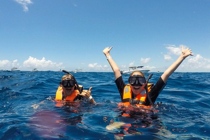 Small Group Whale Shark Encounter - 10 years in business - Gear, Photos, and Included Comfort: The Stuff You’ll Appreciate Later
