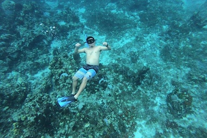 Snorkel Adventure at Cozumel! Transportation from Cancun & Playa Del Carmen - Photo Packages and the Reality of “Underwater Pics”