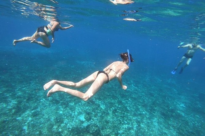 Snorkel Adventure at Cozumel! Transportation from Cancun & Playa Del Carmen - What You Might Like Most (From Real-World Experience Patterns)