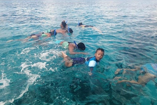 Snorkel Adventure at Cozumel! Transportation from Cancun & Playa Del Carmen - Snorkel Gear, Swim Rules, and the Sunscreen Policy