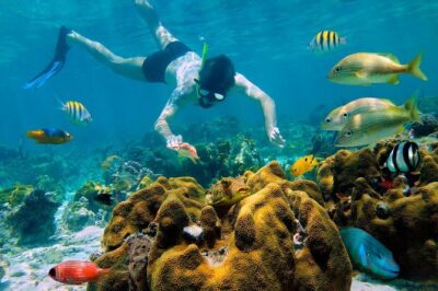Snorkel and swim in Cozumel el Cielo Reef, Palancar and Colombia - Stop-by-Stop Snorkel Plan: El Cielo, Colombia, Palancar, and El Cielito