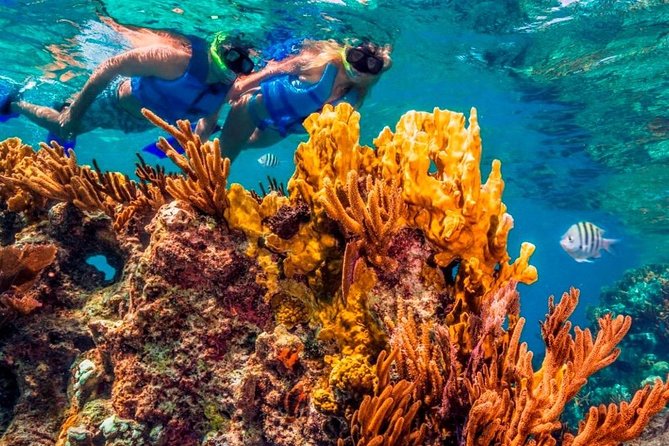 Snorkel and swim in Cozumel el Cielo Reef, Palancar and Colombia - Gear, Vests, and Real-World Safety