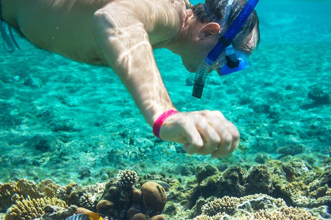 Snorkel and swim in Cozumel el Cielo Reef, Palancar and Colombia - Cozumel Time on Land: Walking, Photos, and Souvenirs