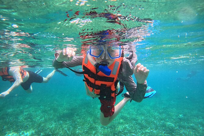 Snorkel at the Reef 2 HOURS Puerto Morelos National park - Key things I’d watch for