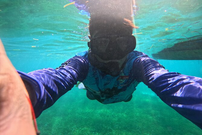 Snorkel at the Reef 2 HOURS Puerto Morelos National park - The reef reality check: coral health and managing expectations