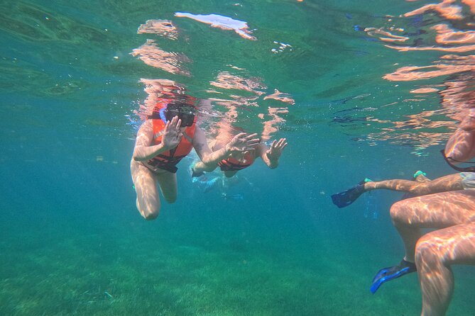 Snorkel at the Reef 2 HOURS Puerto Morelos National park - Price and value: is $43.01 a good deal for this reef time?