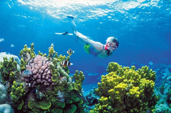 Snorkel, ATV, Zipline and Cenote Adventure from Cancun - ATV in the Yucatan Jungle: shared rides, bumpy trails, big payoff
