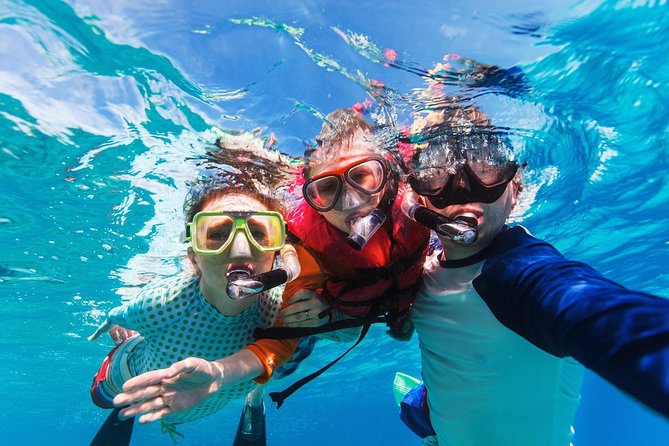 Snorkel in El Cielo Cozumel Reef with Lunch, Beach and Transport - Lunch, boat drinks, and El Cielito beach: where the day gets flexible
